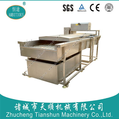 淄博蛤蜊篩洗清洗機 諸城市天順機械專業(yè)制造與高清展示