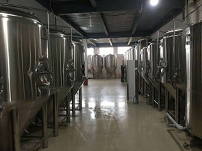 精釀啤酒設(shè)備全解析 從酒廠到酒吧，打造完美啤酒體驗